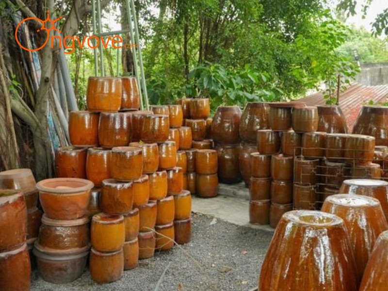 Hành Trình Khám Phá Vườn Nhà Gốm Bình Dương Tự Túc: Trải Nghiệm Có Một Không Hai
