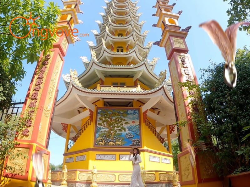 Hoạt Động Lễ Hội & Kinh Nghiệm Hành Hương Chùa Thái Sơn Núi Cậu