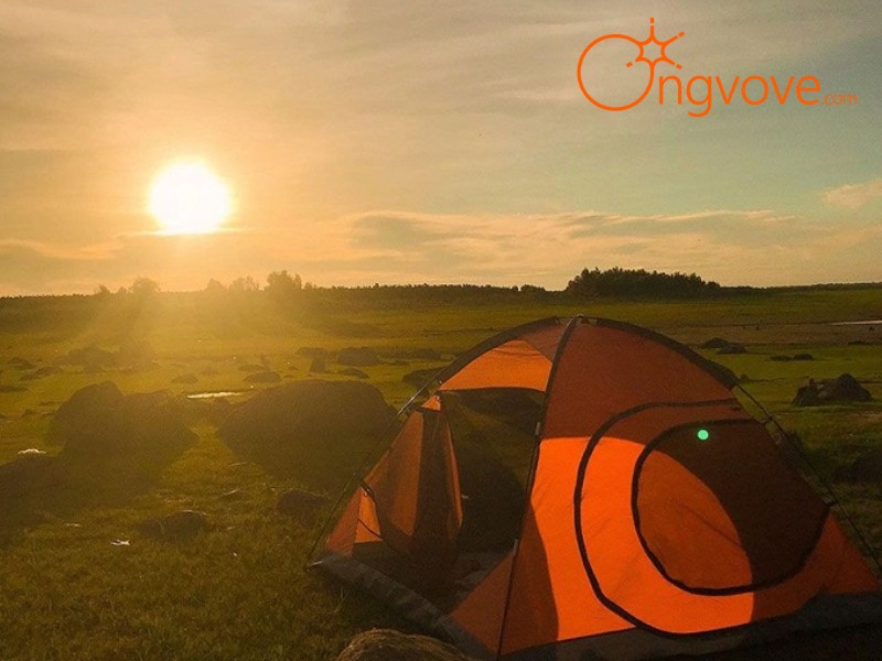 Kinh Nghiệm Đi Bãi Đá Trứng Tự Túc: Những Lưu Ý Quan Trọng Từ Ong Vò Vẽ Travel