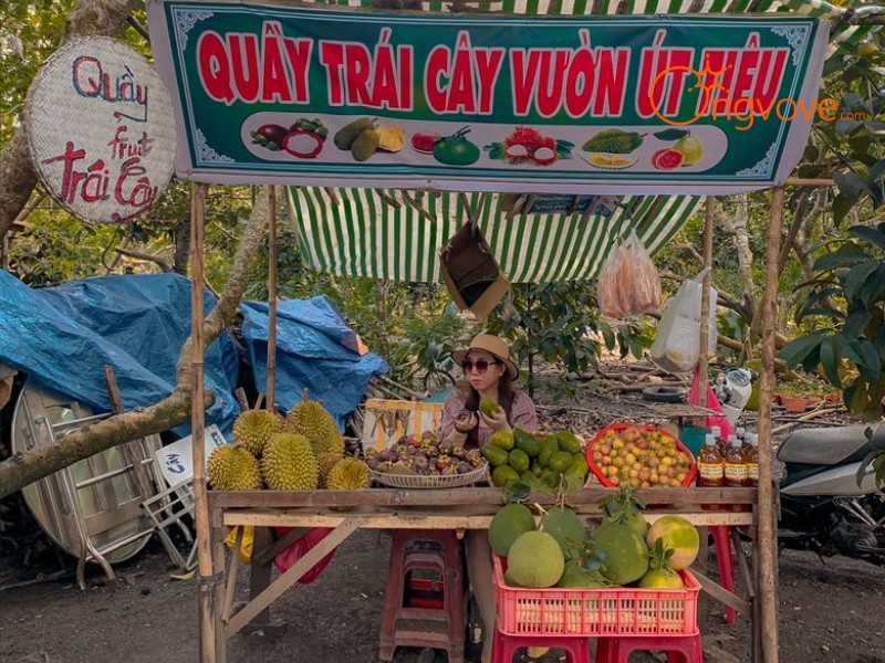 Kinh Nghiệm Du Lịch Vườn Trái Cây ÚT TIÊU Long Khánh Tự Túc