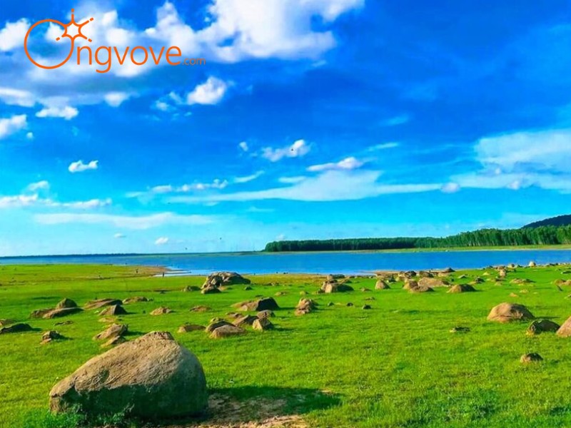 Ong Vò Vẽ Travel – Đơn vị chuyên cung cấp chuyến đi Bãi Đá Trứng Bình Dương tự túc cho bạn
