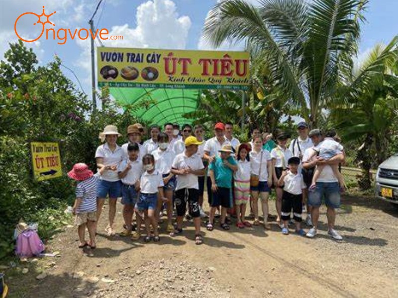 Ong Vò Vẽ Travel – Đơn vị chuyên cung cấp chuyến đi vườn trái cây ÚT TIÊU long Khánh tự túc cho bạn