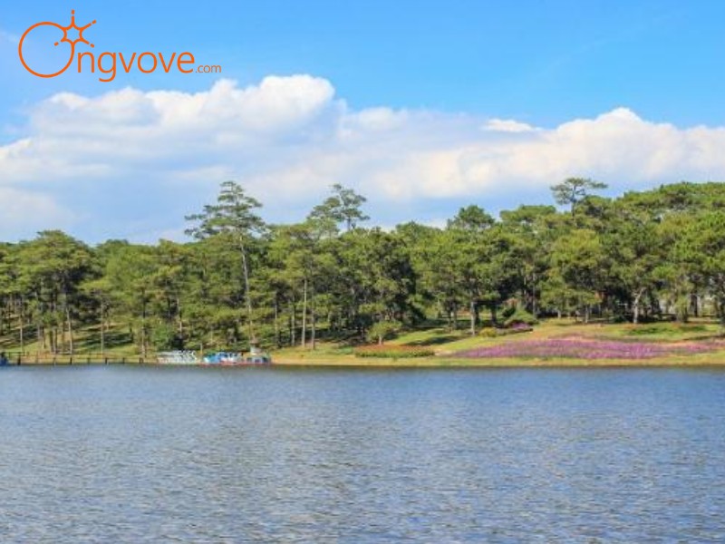 Suối Trúc Tự Túc hay Book Tour?: Lời khuyên từ Ong Vò Vẽ Travel