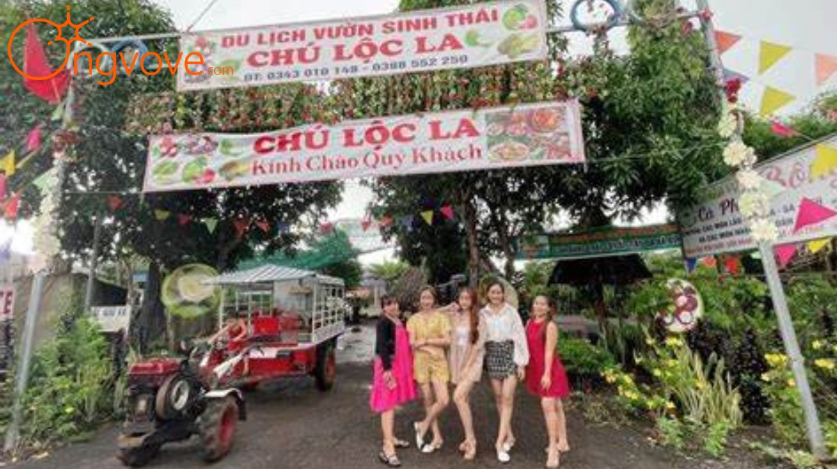 Du Lịch Vườn Chú Lộc La Đồng Nai Tự Túc: Ăn Trái Cây Thỏa Thích, Trải Nghiệm Độc Đáo Cùng Ong Vò Vẽ Travel!