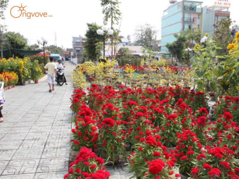 Dịch Vụ Du Lịch Công Viên Làng Hoa Gò Vấp Từ Ong Vò Vẽ Travel