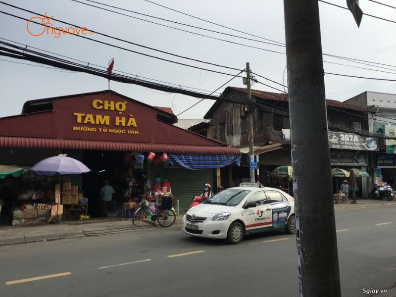 Giới Thiệu Tổng Quan Về Chợ Tam Hà: Trung Tâm Mua Bán Cộng Đồng Của Phường Tam Hà