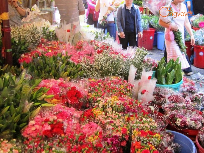 Hiện Trạng, Cảnh Quan, Kiến Trúc Và Các Hoạt Động Tại Chợ Hoa Tết Hồ Thị Kỷ