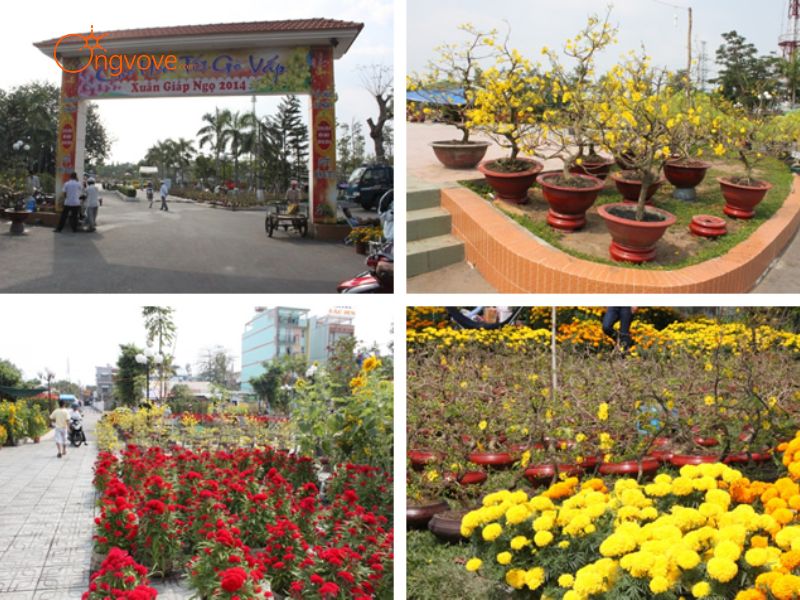 Hiện Trạng, Cảnh Quan, Kiến Trúc và Hoạt Động Du Lịch: Nơi Giao Thoa Giữa Sắc Màu và Đời Sống