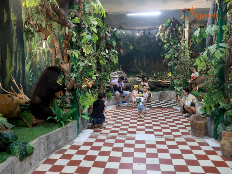 Hiện Trạng, Kiến Trúc Và Cảnh Quan Bên Trong Bảo Tàng Sinh Vật - Thành Phố Hồ Chí Minh