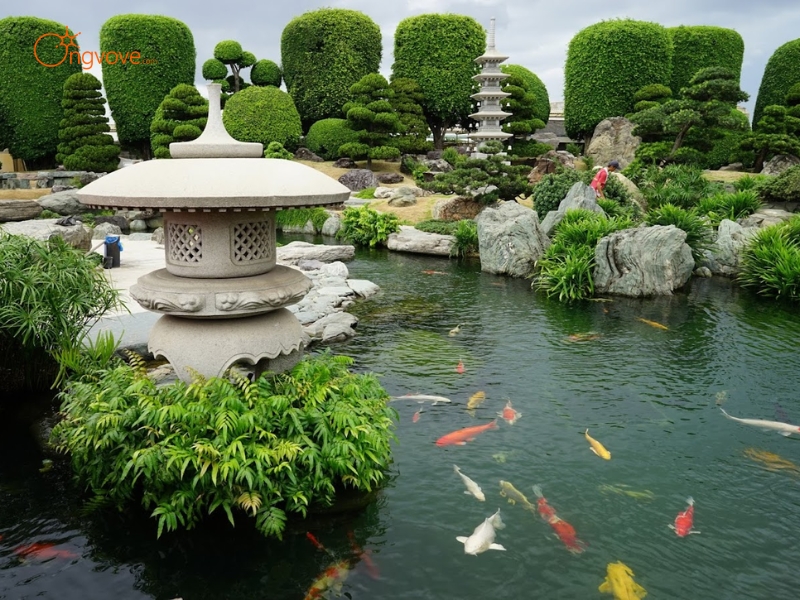 Những điểm nhấn cảnh quan không thể bỏ qua tại Công viên Cá Koi Rin Rin Park