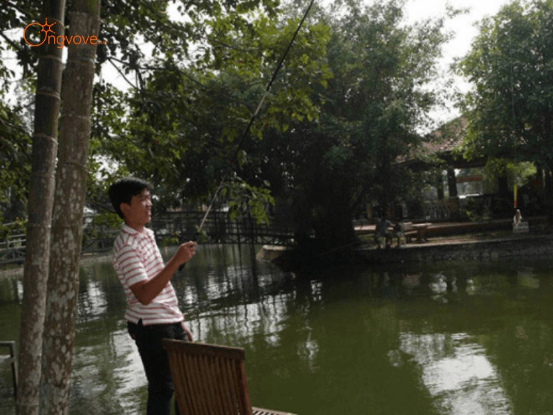 Những Trải Nghiệm Vui Chơi, Giải Trí Đa Dạng Tại Khu du lịch Villa H2O