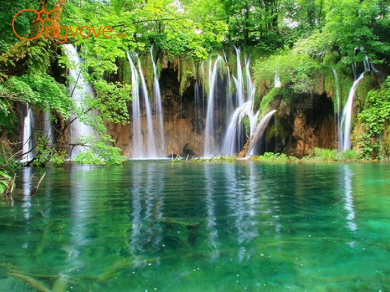 Ong Vò Vẽ Travel: Chuyên Gia Thông Tin Du Lịch Thác Thăng Thiên Hòa Bình