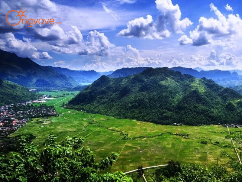 Ong Vò Vẽ Travel cung cấp dịch vụ Thung lũng Mai Châu Hòa Bình tự túc