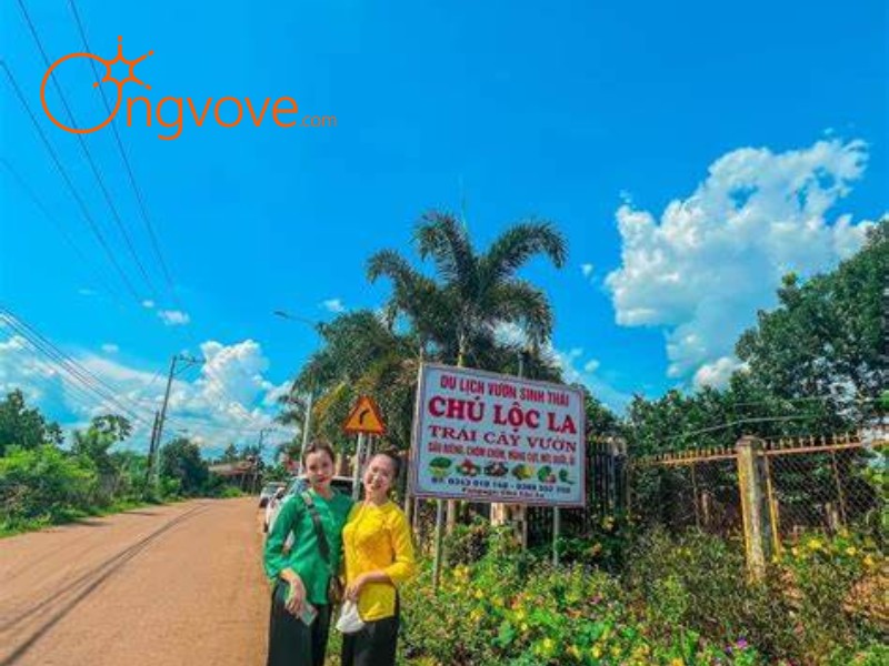 Ong Vò Vẽ Travel - Đơn vị chuyên cung cấp chuyến đi Du Lịch Vườn Chú Lộc La Đồng Nai tự túc cho bạn