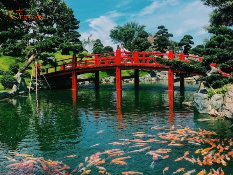 Rin Rin Park – Hơn cả một công viên cá Koi