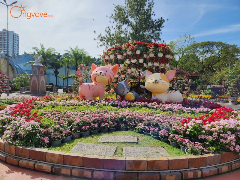 Sử Dụng Dịch Vụ Du Lịch Đầm Sen Khô Qua Ong Vò Vẽ Travel