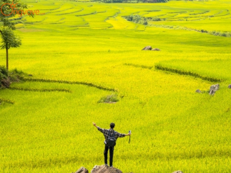 Các Địa Điểm Tham Quan Nổi Tiếng Tại Khu Bảo Tồn Thiên Nhiên Pù Luông