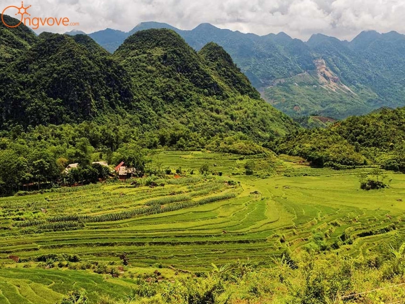 Giới Thiệu Khu Bảo Tồn Thiên Nhiên Pù Luông