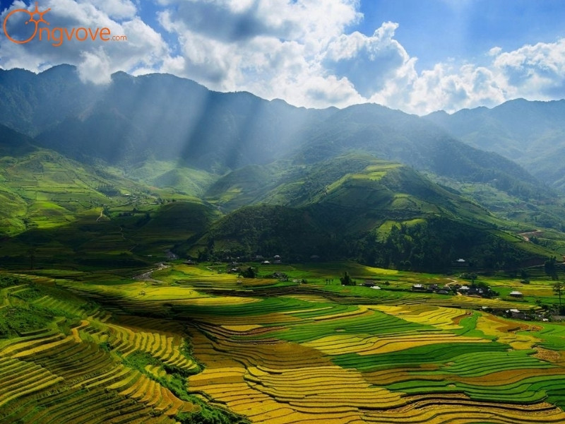 Ong Vò Vẽ Travel Chuyên Cung Cấp Thông Tin Tour, Địa Điểm Du Lịch Tại Khu Bảo Tồn Thiên Nhiên Pù Luông
