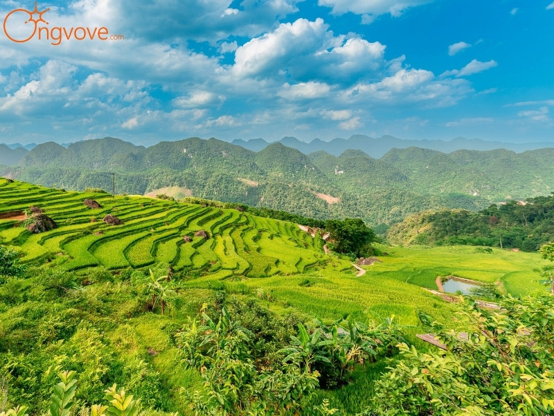 Thời Tiết Pù Luông: Mùa Nào Đẹp Nhất Để Đến?