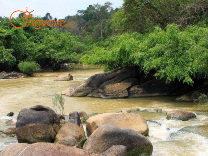 Ăn gì khi đến Khu Du Lịch Thác Mai Đồng Nai? Đặc sản địa phương hấp dẫn!