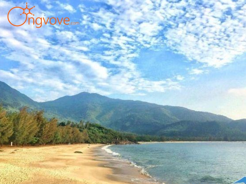 Bãi Xoan Đà Nẵng Có Món Gì Hấp Dẫn?