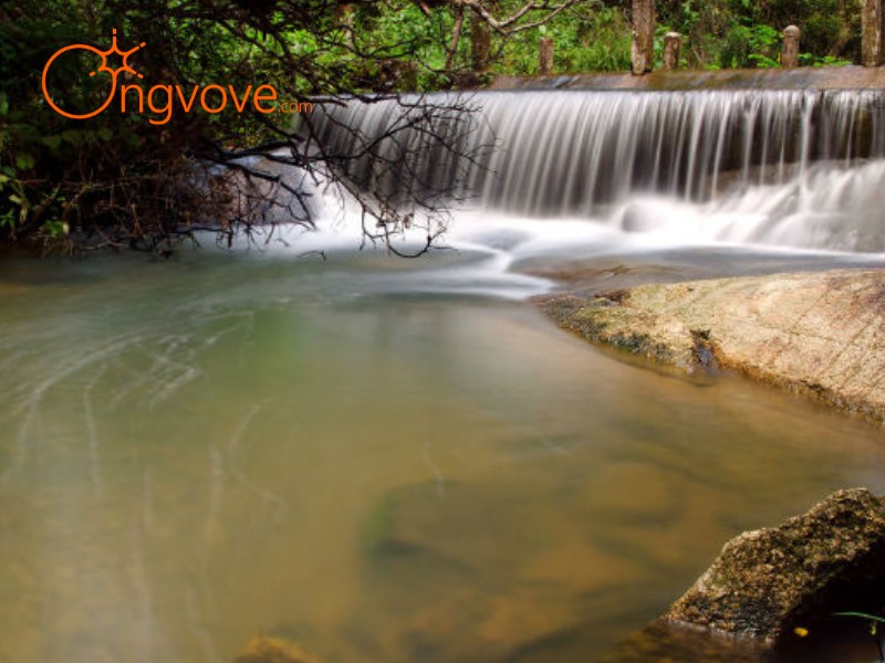 Du Lịch Thác Mai Ở Đâu? Gợi ý lưu trú tiện nghi từ Ong Vò Vẽ Travel
