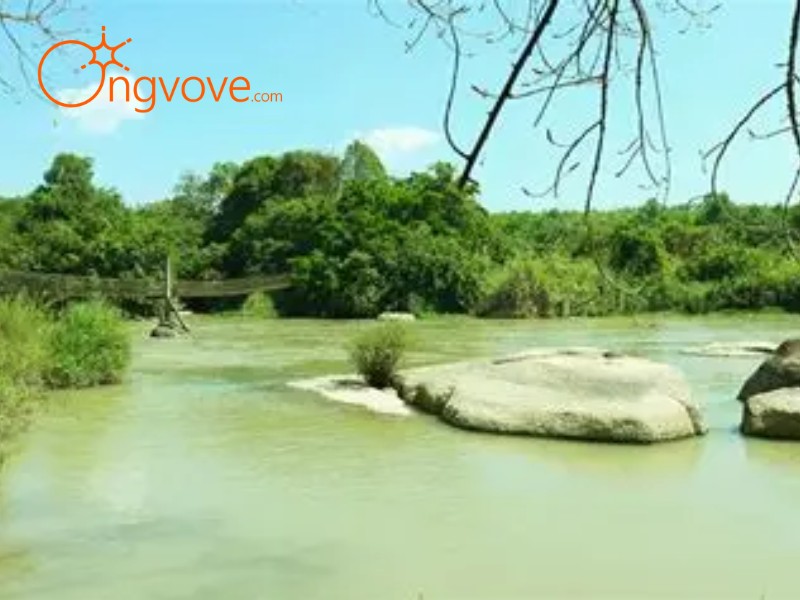 Du Lịch Thác Mai Tự Túc Hay Book Tour? Lời khuyên từ Ong Vò Vẽ Travel