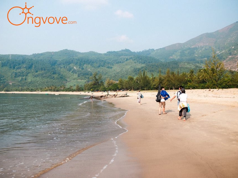 Ong Vò Vẽ Travel Cung Cấp Tour, Địa Điểm Du Lịch Bãi Xoan Đà Nẵng