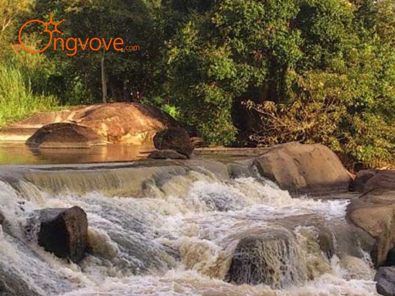 Ong Vò Vẽ Travel - Đơn vị chuyên cung cấp chuyến đi Khu Du Lịch Thác Mai Đồng Nai tự túc cho bạn