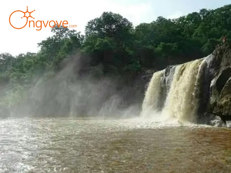 Ong Vò Vẽ Travel - Đơn vị chuyên cung cấp chuyến đi Thác Cây Si Đồng Nai tự túc cho bạn