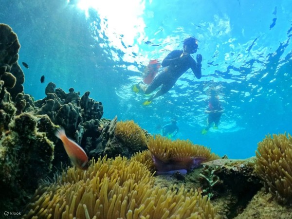 Tour Lặn Biển Nhóm Nhỏ Tại Phú Quốc Bằng Tàu Cao Tốc - Tour Phú Quốc 1 ngày