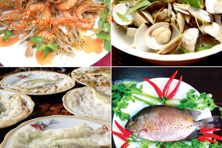 Thưởng thức ẩm thực Phá Tam Giang