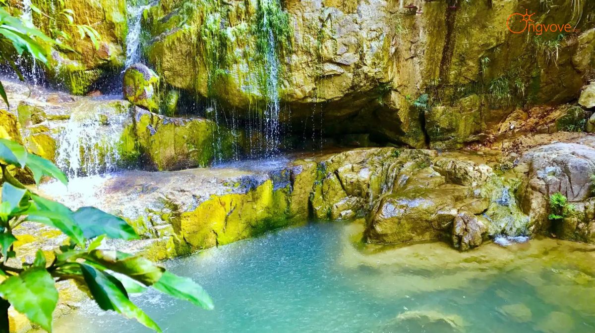Lựng Xanh Quảng Ninh Tự Túc - Cẩm Nang Khám Phá "Viên Ngọc Bích" Uông Bí