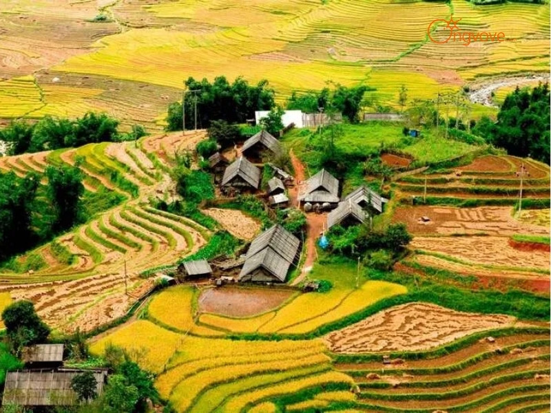 Bản làng Sìn Hồ (Pú Đao, Tả Phìn,...)