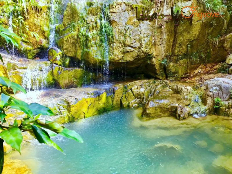 Giới Thiệu Lựng Xanh Quảng Ninh