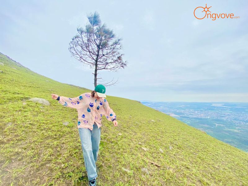 Ong Vò Vẽ Travel Chuyên Cung Cấp Thông Tin Tour, Địa Điểm Du Lịch Núi Thành Đẳng Quảng Ninh Tự Túc