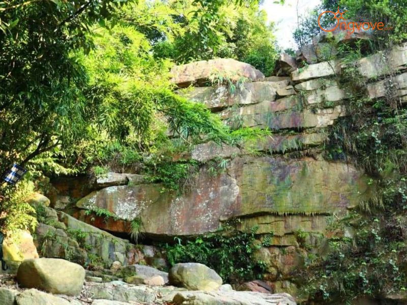 Ong Vò Vẽ Travel Chuyên Cung Cấp Thông Tin Tour, Địa Điểm Du Lịch Tại Lựng Xanh Quảng Ninh