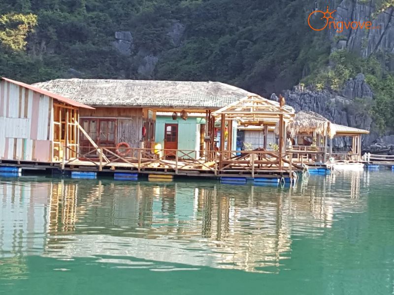 Thời Điểm Lý Tưởng Du Lịch Làng Chài Vung Viêng Quảng Ninh