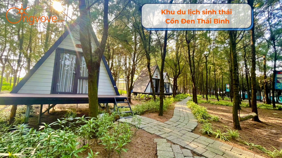 Khu Du Lịch Sinh Thái Cồn Đen Thái Bình Tự Túc