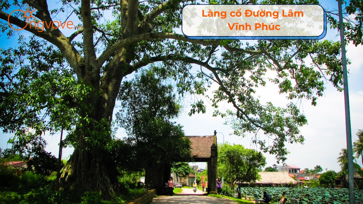 Làng Cổ Đường Lâm Vĩnh Phúc Tự Túc
