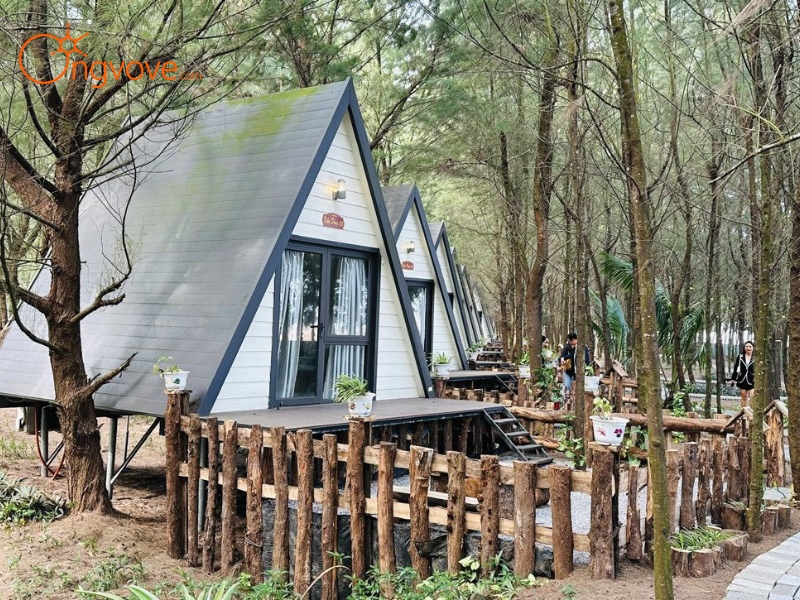 Các Dịch Vụ Lưu Trú Khu du lịch sinh thái Cồn Đen Thái Bình