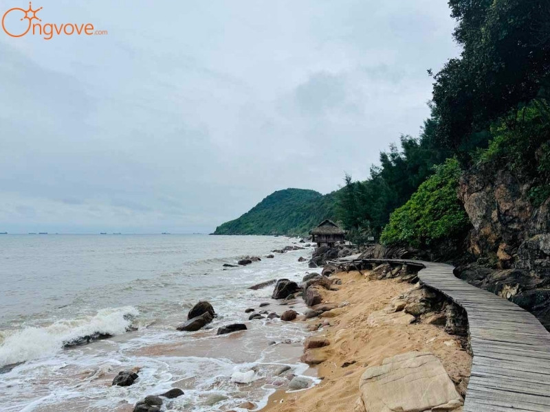 Giới Thiệu Biển Bãi Đông
