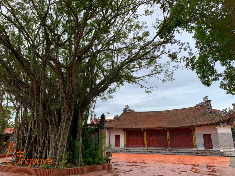 Giới Thiệu Đình Cổ Dũng Thái Bình: Nét Đẹp Kiến Trúc Đình Làng Bắc Bộ