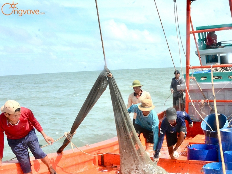 Kinh Tế Biển Bãi Đông
