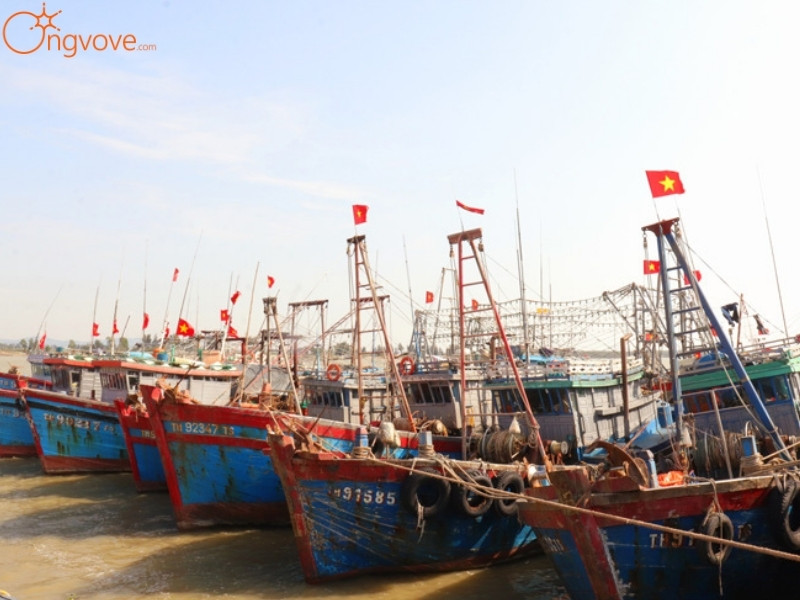 Kinh Tế Biển Hải Hòa: Sức Sống Từ Biển Cả