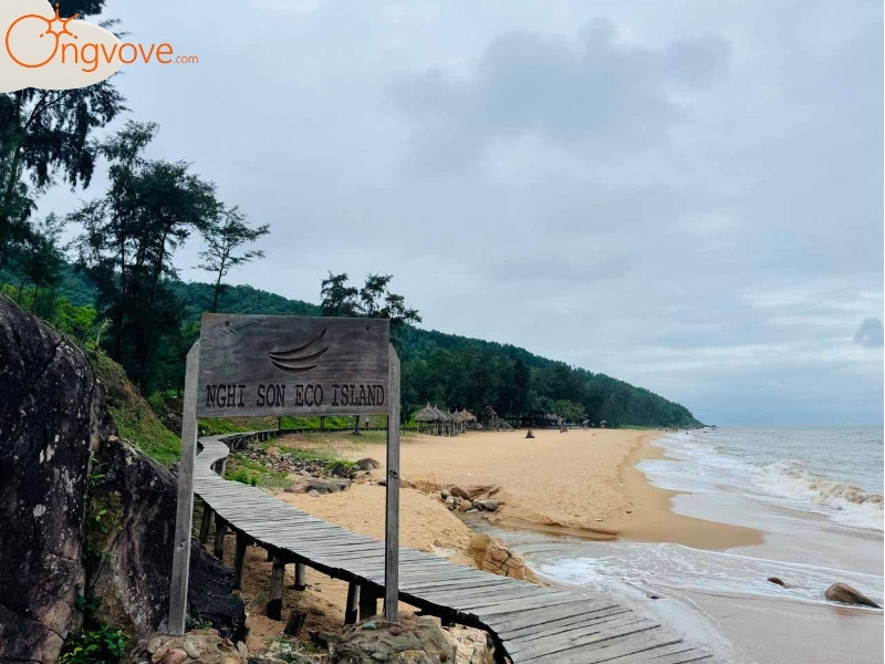 Ong Vò Vẽ Travel Chuyên Cung Cấp Thông Tin Tour, Địa Điểm Du Lịch Tại Biển Bãi Đông