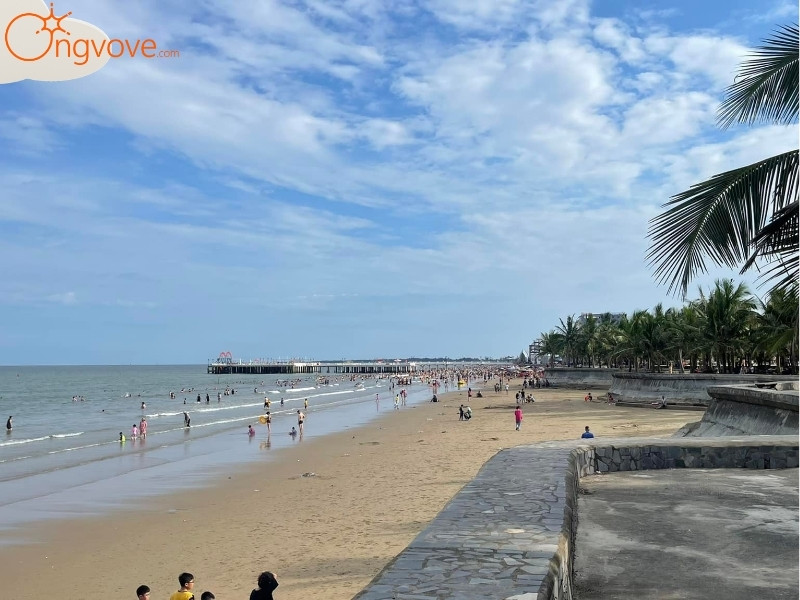 Ong Vò Vẽ Travel Chuyên Cung Cấp Thông Tin Tour, Địa Điểm Du Lịch Tại Biển Hải Tiến