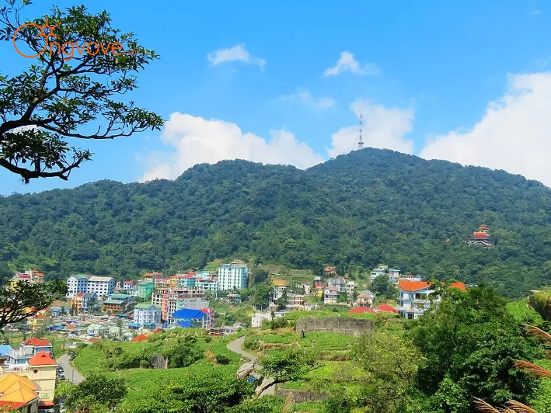 Ong Vò Vẽ Travel Chuyên Cung Cấp Thông Tin Tour, Địa Điểm Du Lịch Tại Đình Tây Hạ Vĩnh Phúc