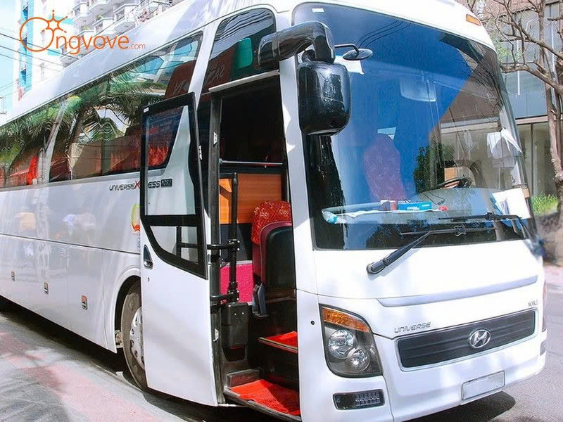 Phương Tiện Di Chuyển Khu du lịch sinh thái Cồn Đen Thái Bình Tự Túc